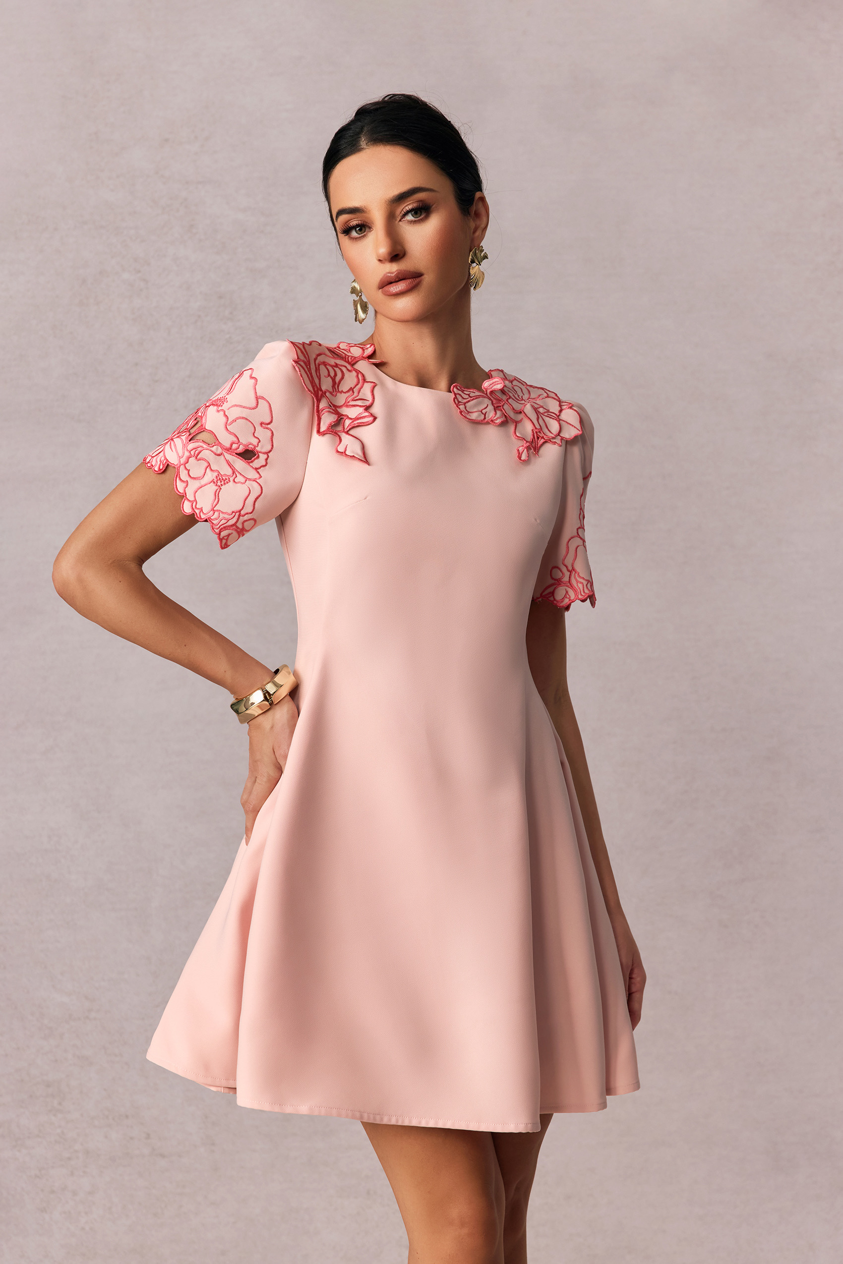 Moira Floral Embroidered Short Sleeve Mini Dress