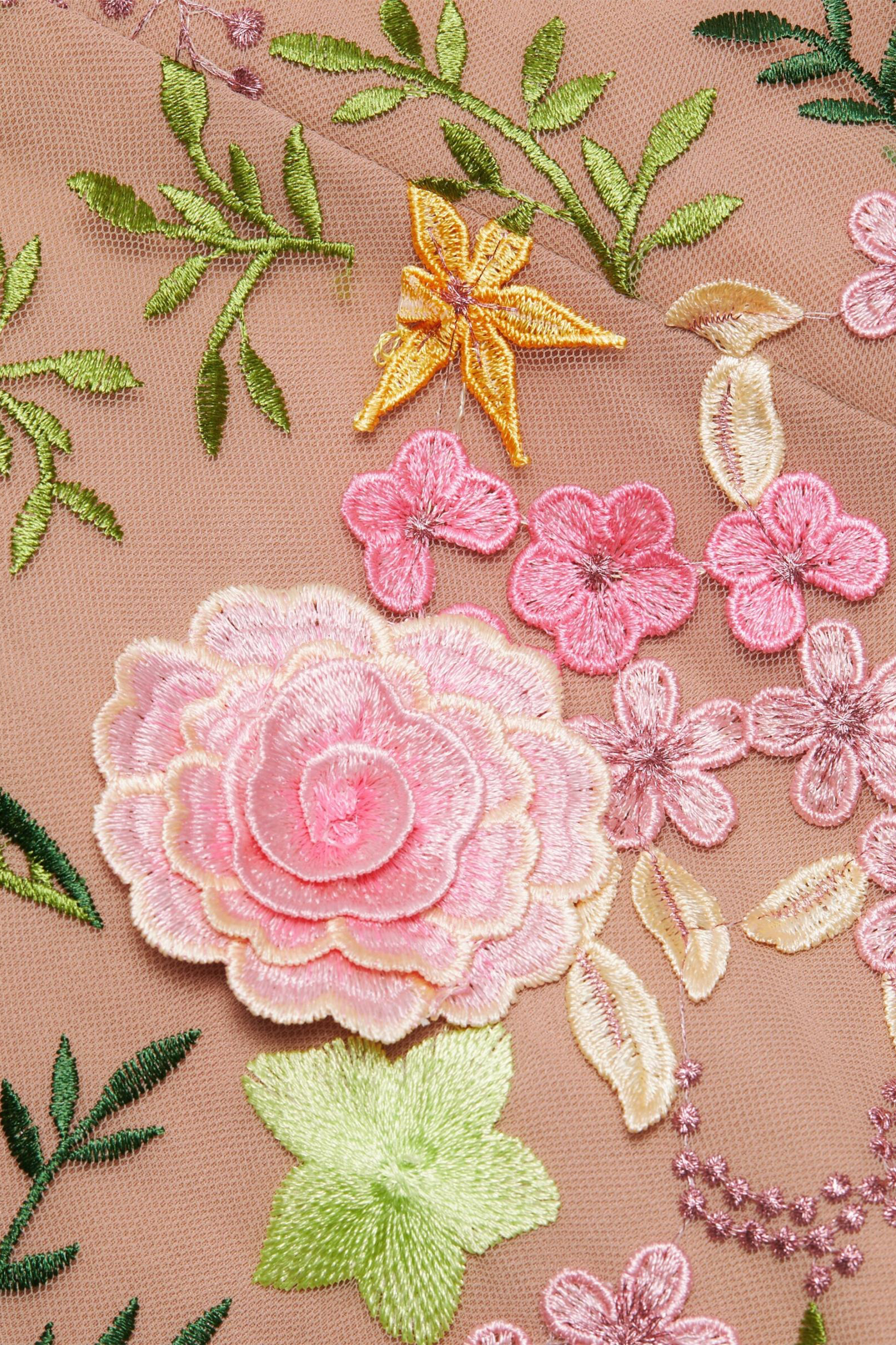 Lara Floral Applique Long Sleeve Mini Dress