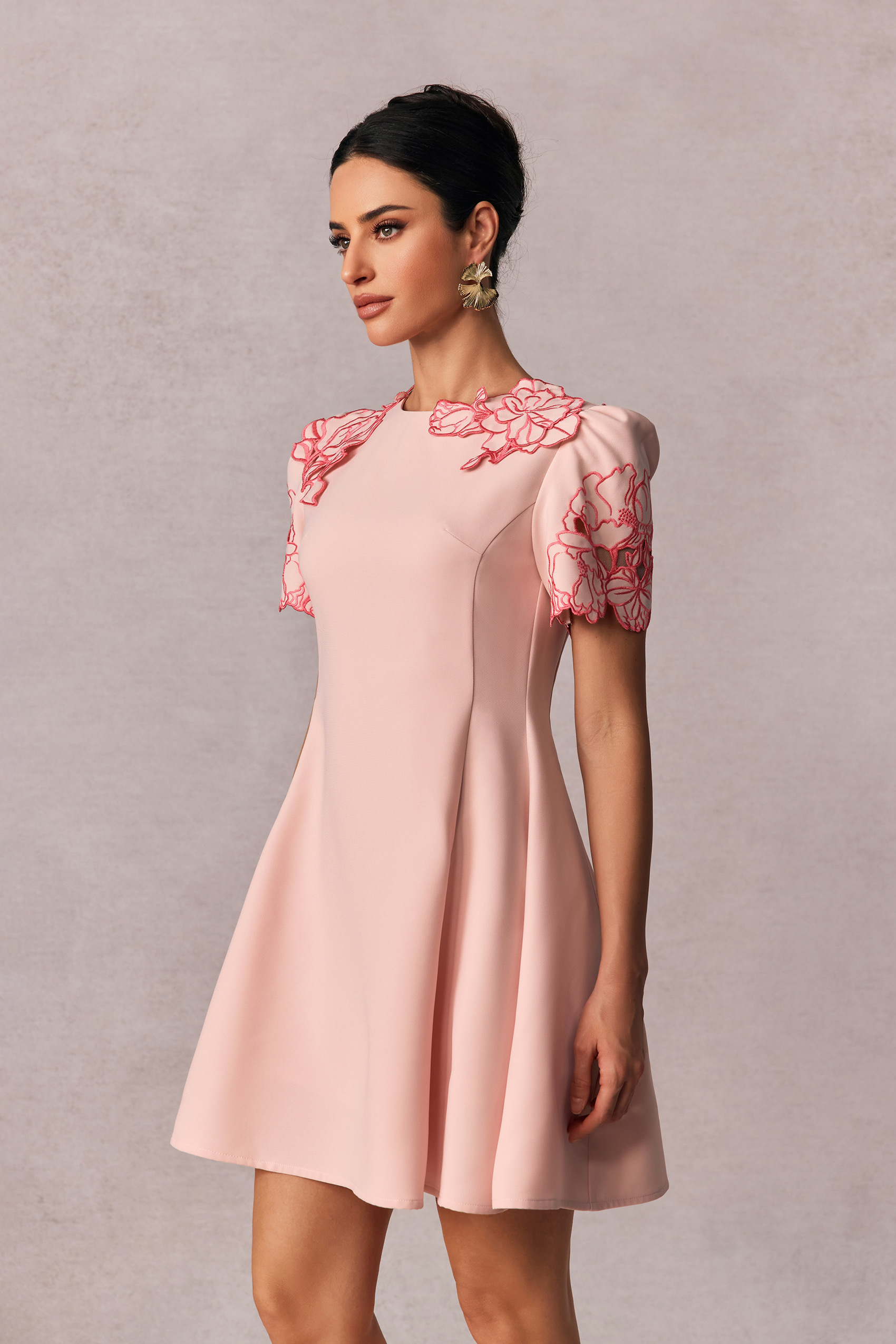 Moira Floral Embroidered Short Sleeve Mini Dress